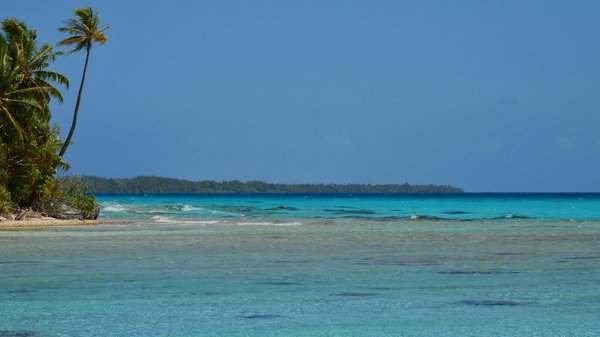 Welke verborgen schoonheden in Nederland moet je absoluut bezoeken?
