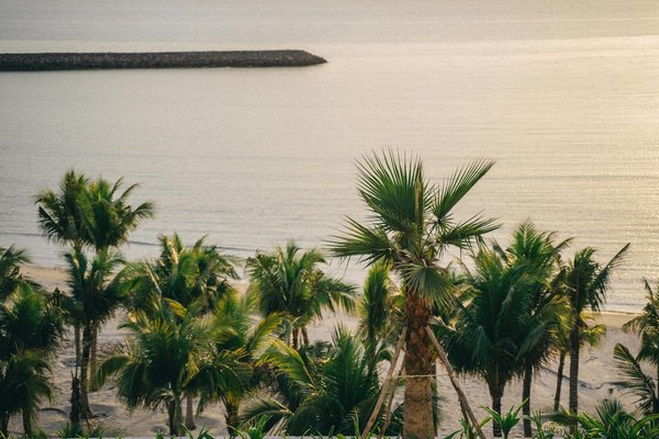 Wat zijn de beste manieren om je vakantieverhuur schoon te houden?