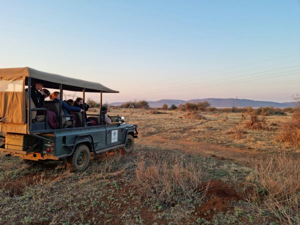 Onmisbare inzichten voor je Zuid-Afrika avontuur